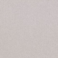 BTV-66041458