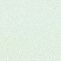 BTV-66041465