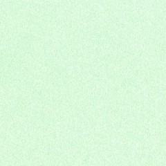 BTV-66041666
