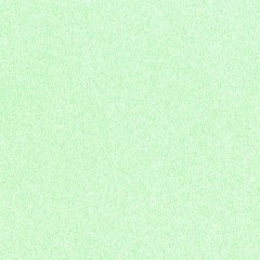 BTV-66041667