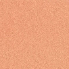 BTV-66041724