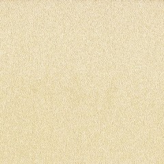 BTV-66041752