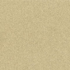 BTV-66041757