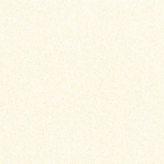 BTV-66041843