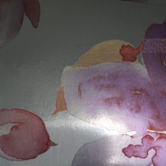 LTD00480
