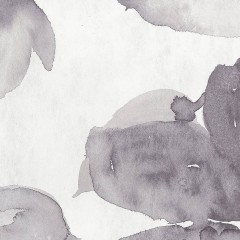 LTD00496