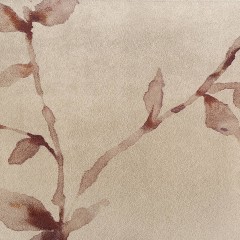 LTD00501