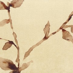 LTD00502