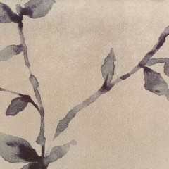 LTD00503