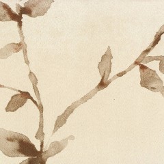 LTD00504