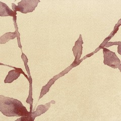 LTD00505