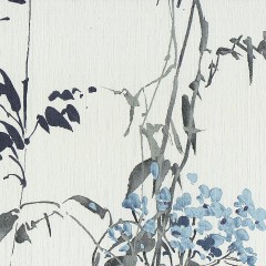 LTD00512