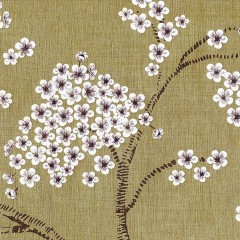 LTD00523