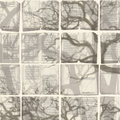 LTD00970
