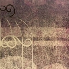LTD02050