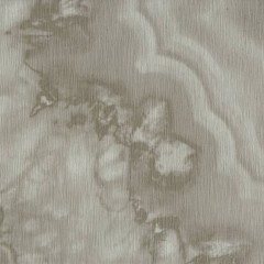 LTD02070