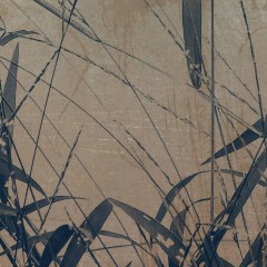 LTD02090