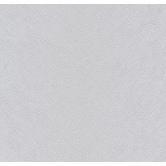 P4858