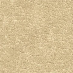 P8442