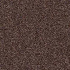 P8443
