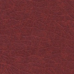 P8444
