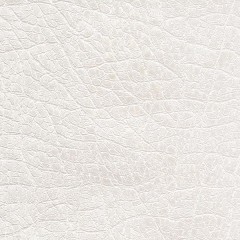 P8447