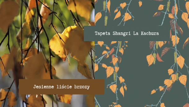 ZACHWYCENI NATURĄ