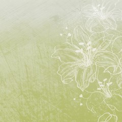 LTD 004403
