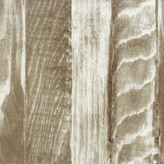 LTD00210