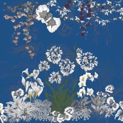 LTD 0110014