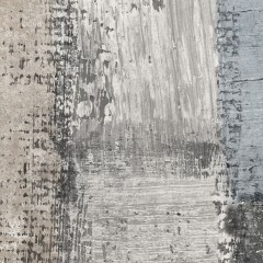 LTD02010