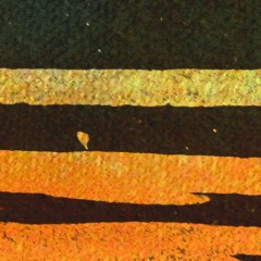 LTD02080