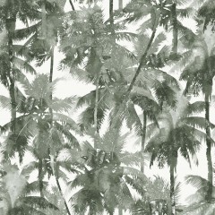 LTD02472
