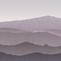 LTD02510