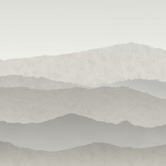 LTD02511