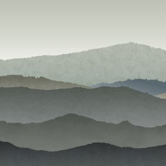 LTD02512