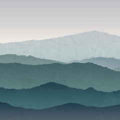 LTD02513