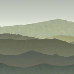 SLTD02514