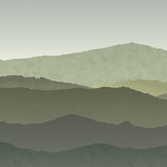 LTD02514