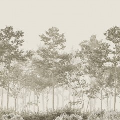 LTD02560