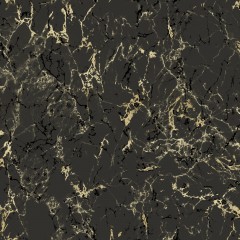 LTD02581