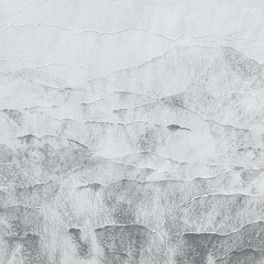 LTD02811
