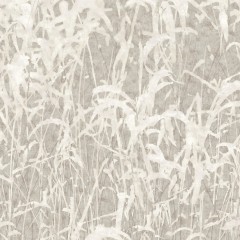 LTD02850