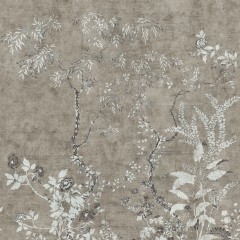LTD02900