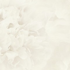 LTD03171