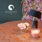 Migaloo home nowości
