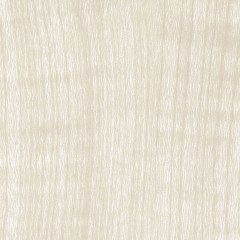 RW-5039
