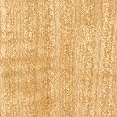 RW-5041