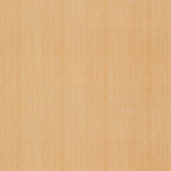 TC-4205
