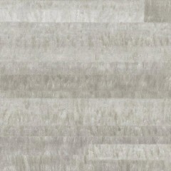 TC-5556